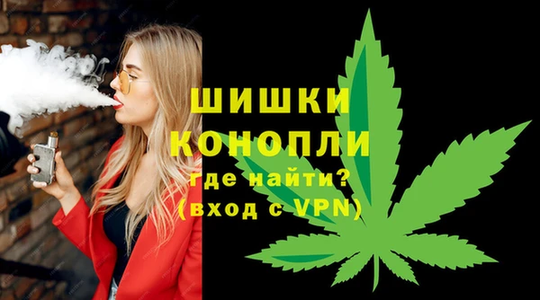 mdpv Бородино
