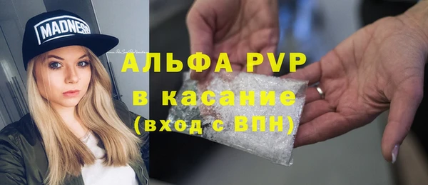 бошки Богданович