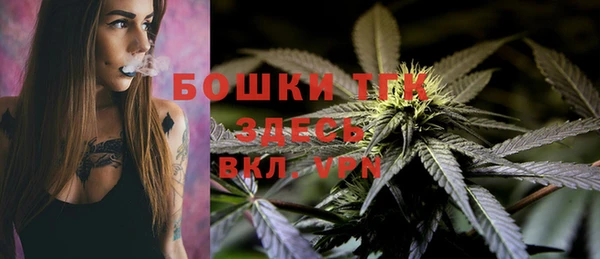 бошки Богданович