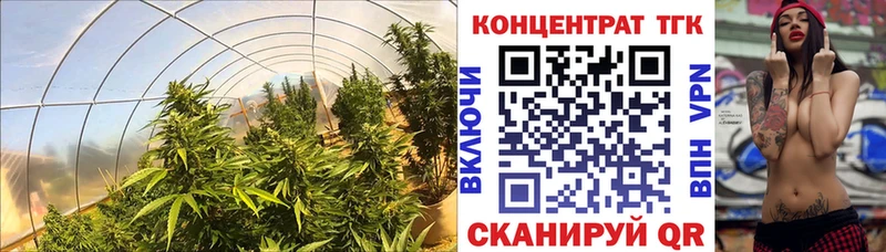 сколько стоит  Северская  ТГК вейп 